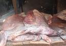 Labé : la justice sévit après la découverte de viande avariée destinée à la vente