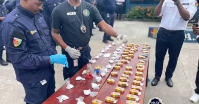 Trafic de drogue : 725 grammes de cocaïne découverts dans des sachets de thé destinés à la France