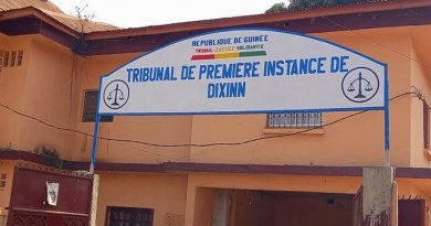 Vol à la tire : la défense du sac « accroché au bras » ne convainc pas le tribunal de Dixinn