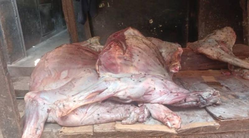 Labé : la justice sévit après la découverte de viande avariée destinée à la vente