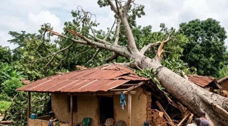 Boffa : une nuit de tempête emporte trois vies dans une même famille