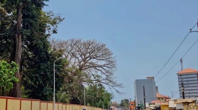 Conakry : six titres fonciers de la Camayenne réintègrent le patrimoine de l’État