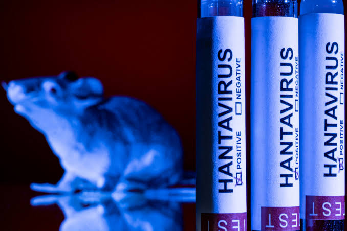 Hantavirus à bord du MV Hondius : une flambée rare fait trois morts et alerte les autorités sanitaires Hantavirus à bord du MV Hondius : une flambée rare fait trois morts et alerte les autorités sanitaires