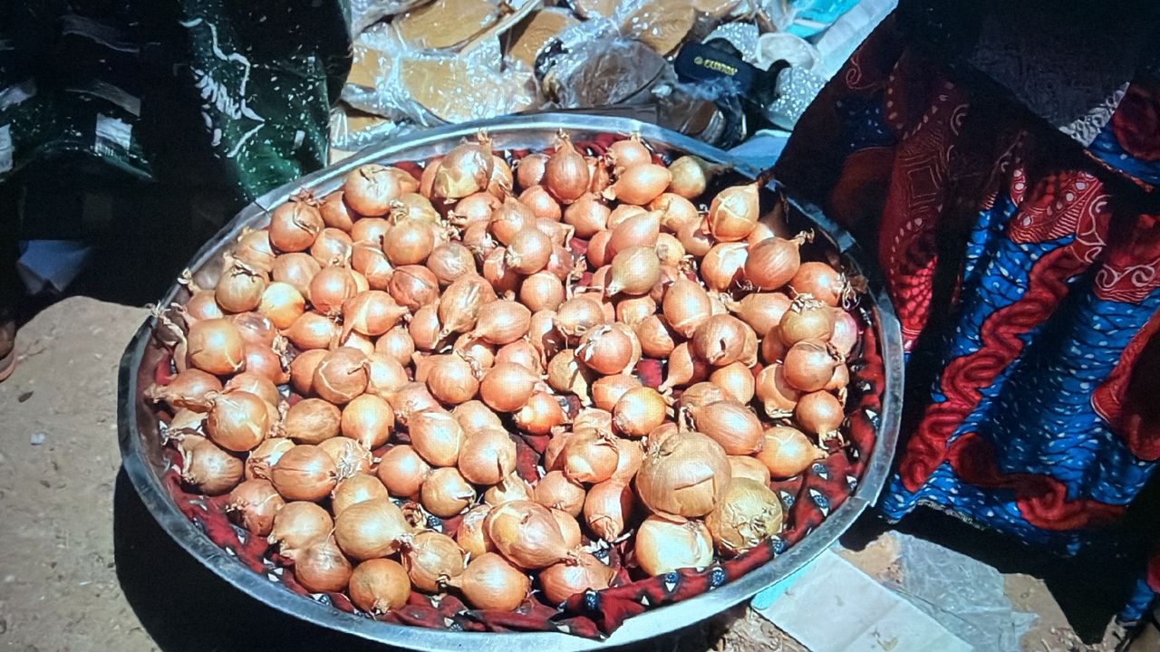 IMG-20260216-WA0004 IMG-20260216-WA0004